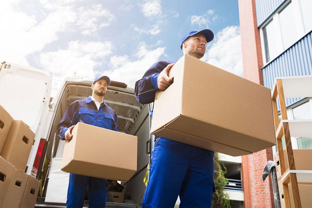 Movers carrying boxes during a move in Evanston, Calgary